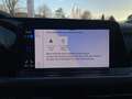 Volkswagen Golf VIII Variant Alltrack TDI DSG 4M MATRIX NAVI RE... Grau - thumbnail 21