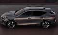CUPRA Formentor VZ 2.0 TSI 333 Memory Nav ehK SHZ Blis 245 kW (... Grau - thumbnail 2