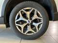 Subaru Forester 2.0 e-Boxer Style auto Bianco - thumbnail 7