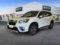 Subaru Forester 2.0 e-Boxer Style auto Bianco - thumbnail 1