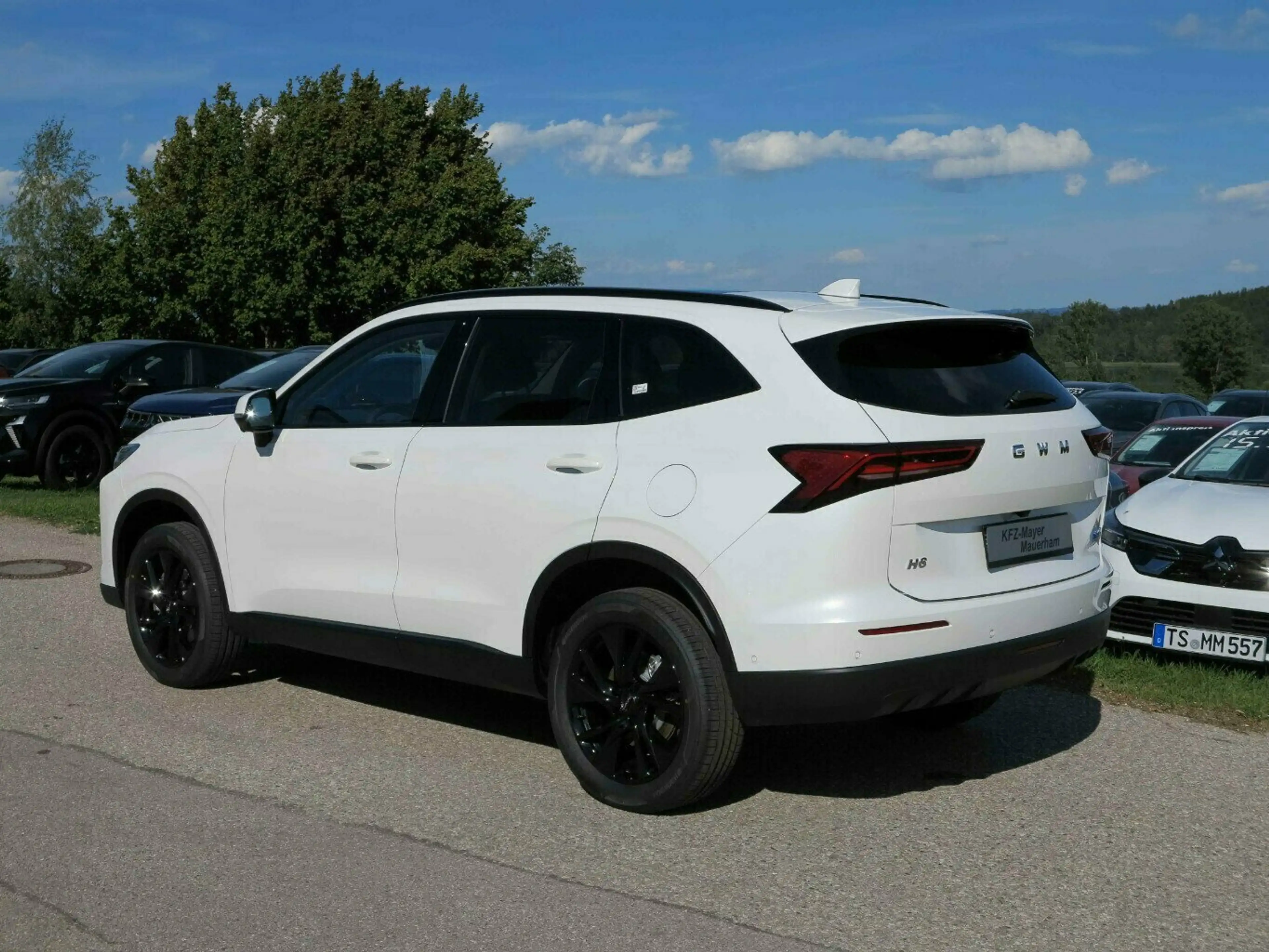 GWM HAVAL H6 Luxury, Panoramadach, ele. Heckklappe usw. — photo 5