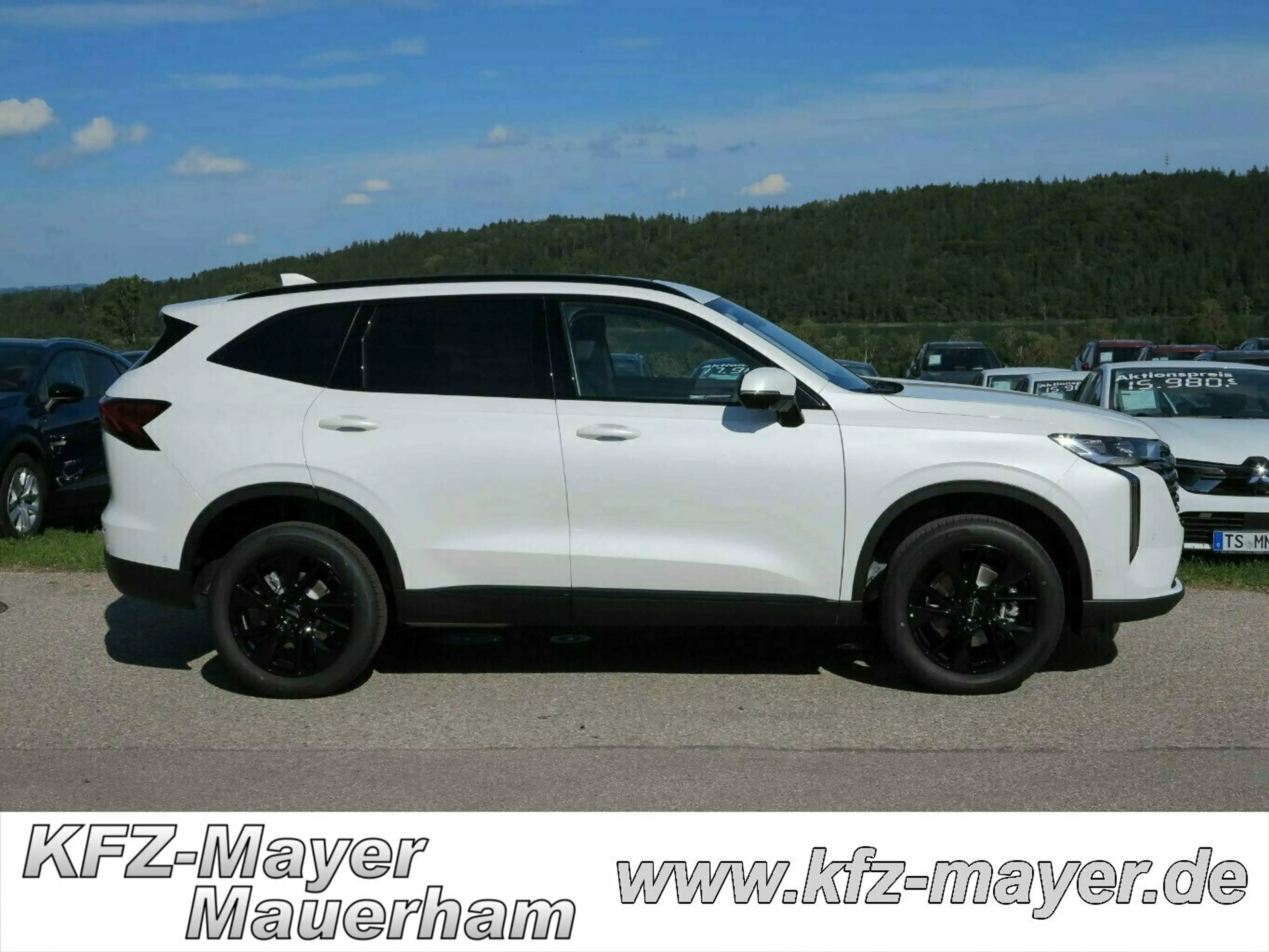 GWM HAVAL H6 Luxury, Panoramadach, ele. Heckklappe usw.