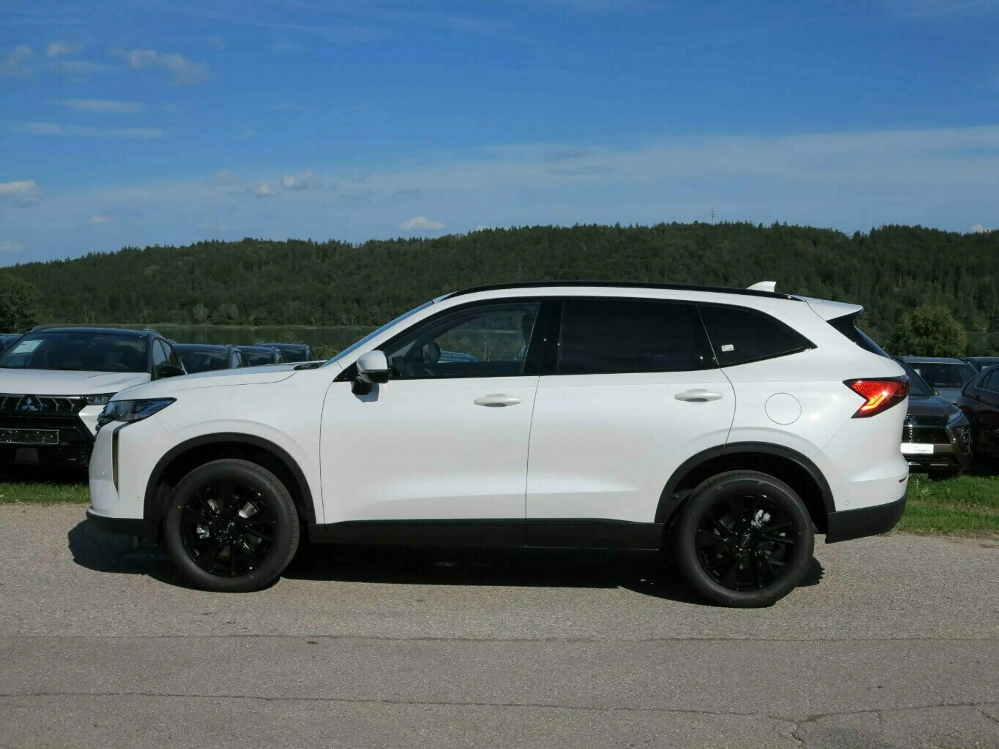GWM HAVAL H6 Luxury, Panoramadach, ele. Heckklappe usw. — photo 4