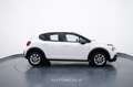 Citroen C3 1.2 PureTech 82cv S&S Business Bianco - thumbnail 7