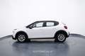 Citroen C3 1.2 PureTech 82cv S&S Business Bianco - thumbnail 3