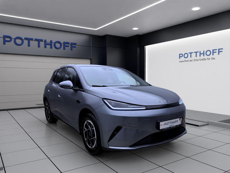 BYD Dolphin G DM-i BOOST LM16 KAMERA NAVI KLIMA — photo 7