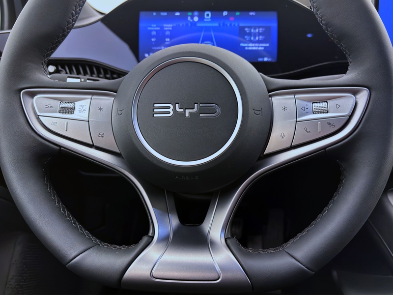 BYD Dolphin G DM-i BOOST LM16 KAMERA NAVI KLIMA — photo 13