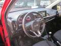 Kia Picanto 1.0 12V 5 porte Cool Full Optional KM 28000 !! Rosso - thumbnail 11