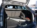 Skoda Octavia Combi 2.0 TDI Scout 4x4 DSG NAV PANO Grau - thumbnail 8