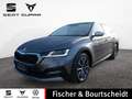 Skoda Octavia Combi 2.0 TDI Scout 4x4 DSG NAV PANO Grau - thumbnail 1