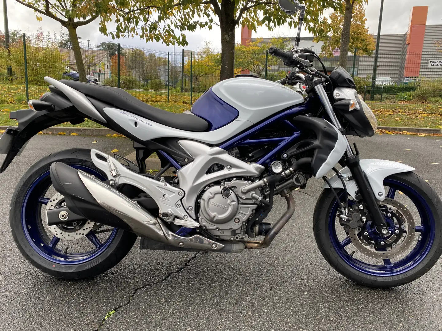 Suzuki Gladius 650 - 1