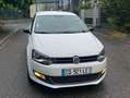 Volkswagen Polo Blanc - thumbnail 1