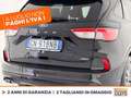Ford Kuga 2.5 phev st-line x 2wd 225cv cvt Nero - thumbnail 18