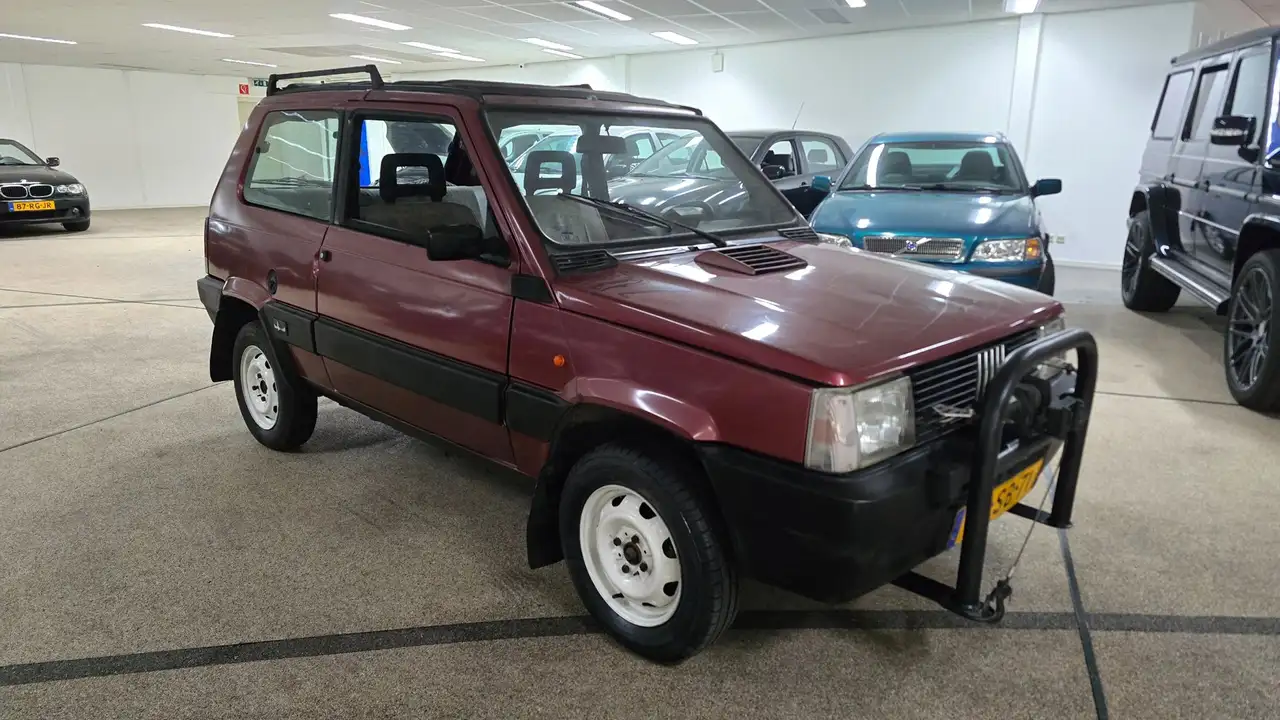 Fiat Panda 1000 4x4 Young, foto 8