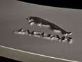 Jaguar F-Type 3.0 V6 Gris - thumbnail 26