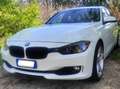 BMW 316 Serie 3 2014 touring 316d Touring  auto Bianco - thumbnail 1