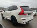Volvo XC60 B4 Plus Dark 2WD Pano ACC 360° Google 21" Weiß - thumbnail 5