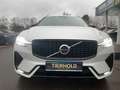 Volvo XC60 B4 Plus Dark 2WD Pano ACC 360° Google 21" Weiß - thumbnail 10