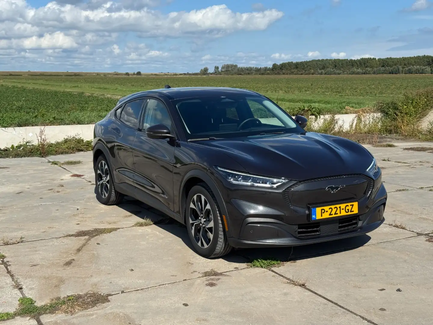 Ford Mustang Mach-E RWD 75 kWh | Lage Bijtelling t/m 08-2026 | | Achte Grijs - 2
