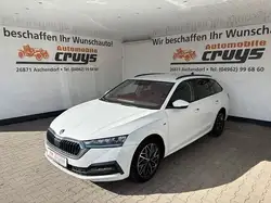 Skoda Octavia Combi 1.0 TSI e TEC DSG Clever AHK