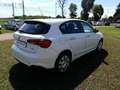 Fiat Tipo Tipo 5 porte II 2016 5p 1.6 mjt Easy s Bianco - thumbnail 3