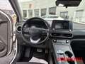 Hyundai KONA EV Select wenig KM Carplay Tempomat Kamera Sitzhei Білий - thumbnail 13