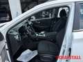 Hyundai KONA EV Select wenig KM Carplay Tempomat Kamera Sitzhei Білий - thumbnail 10