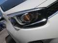 Kia Picanto 1.0 DPi DynamicPlusLine | Cruise | Clima | Camera Wit - thumbnail 19