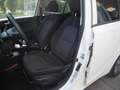 Kia Picanto 1.0 DPi DynamicPlusLine | Cruise | Clima | Camera Wit - thumbnail 9