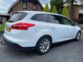 Ford Focus 1.5 TDCI TITANIUM Automaat Apple carplay ECC Keyle Wit - thumbnail 9