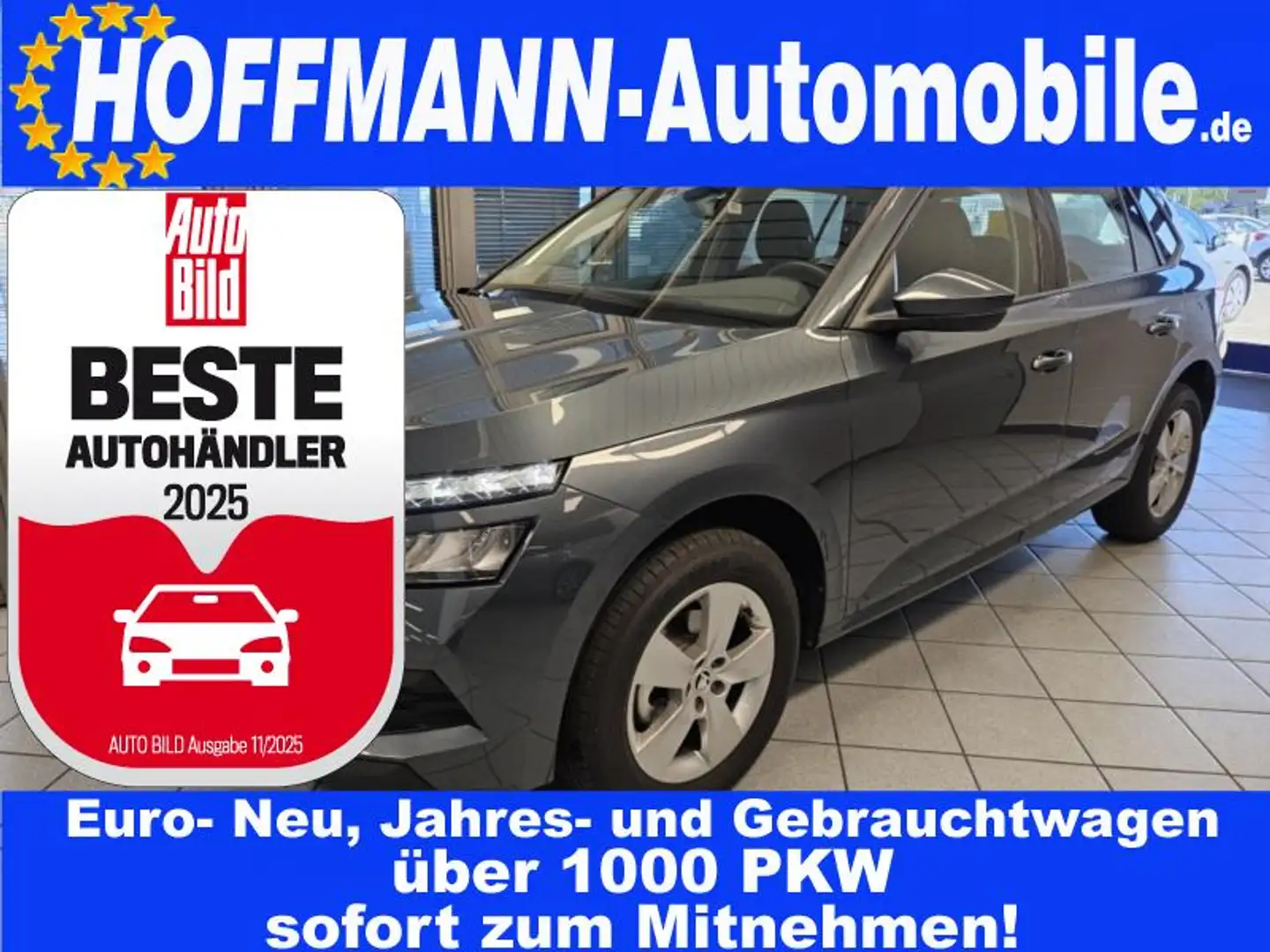 Skoda Kamiq Ambition Sitzheizung,LED,PDC,Smart-Link Gris - 1