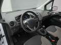 Ford Tourneo Courier Trend 100PS/Winter-Paket/Klima Alb - thumbnail 10