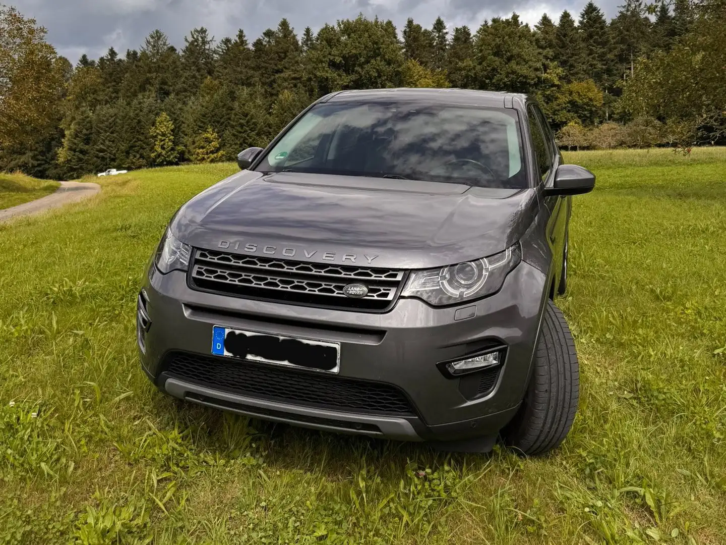 Land Rover Discovery Sport Discovery Sport TD4 SE Grau - 2