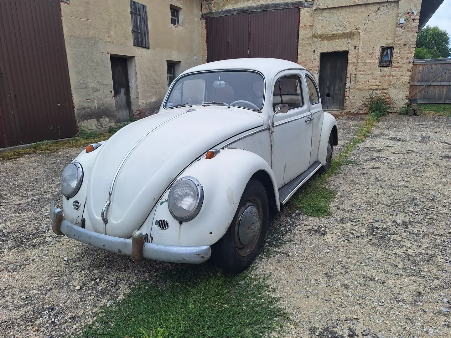 Volkswagen Käfer Typ 11 Luxus - 2