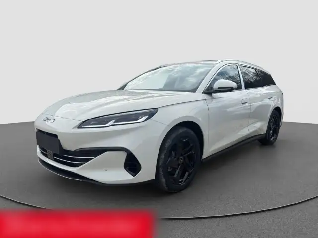 BYD Sonstige