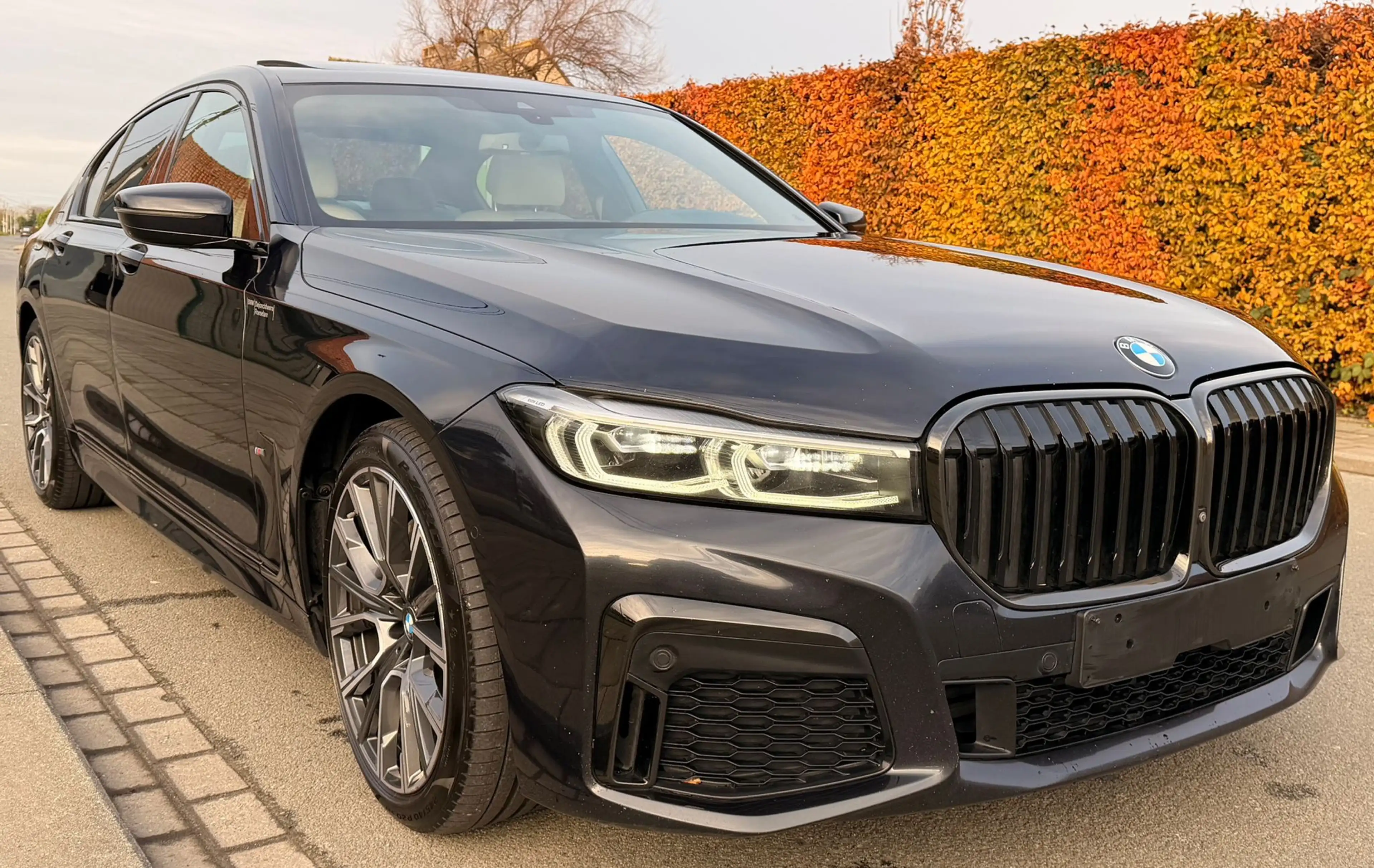BMW 730 730d xDrive — photo 4