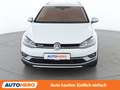 Volkswagen Golf 2.0 TDI Alltrack BlueMotion 4Motion Weiß - thumbnail 9
