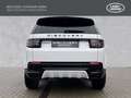 Land Rover Discovery Sport Diesel D200 Dynamic SE Panorama Weiß - thumbnail 7