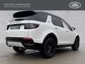Land Rover Discovery Sport Diesel D200 Dynamic SE Panorama Weiß - thumbnail 2