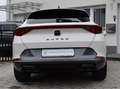 CUPRA Formentor 1.5TSI  Navi/ACC/WinterP/AHK/ALU Blanc - thumbnail 15