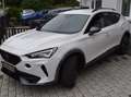 CUPRA Formentor 1.5TSI  Navi/ACC/WinterP/AHK/ALU Blanc - thumbnail 6