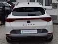 CUPRA Formentor 1.5TSI  Navi/ACC/WinterP/AHK/ALU Blanc - thumbnail 17