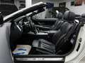 BMW 650 i Cabrio / Keyless HUD Kamera Memory Navi Weiß - thumbnail 14