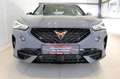 CUPRA Formentor VZ 2.0 TSI DSG 4Drive 4JGAR/AHK/PANO/elHK Klima Grau - thumbnail 3