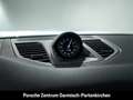 Porsche Panamera 4 E-Hybrid LenkradHZG StandHZG HUD LED Gris - thumbnail 17