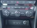 SEAT Ateca 2.0 TSI Xcellence 4Drive LED Navi ACC DAB Schwarz - thumbnail 21