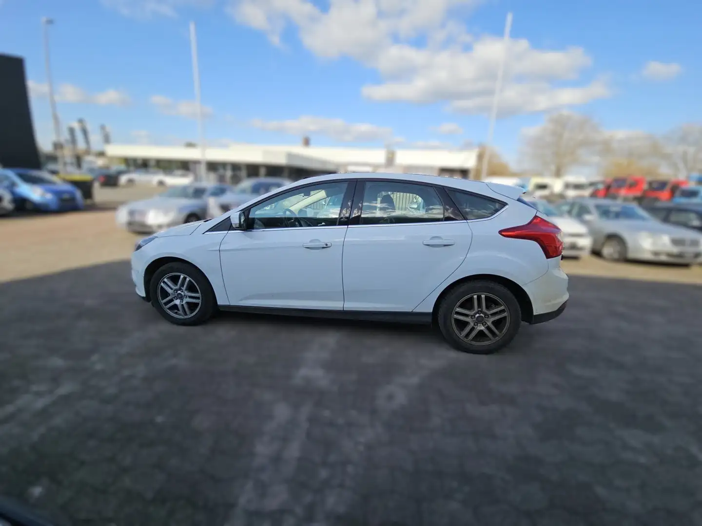 Ford Focus Champions Edition + NEU TÜV Weiß - 2