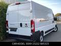 Fiat Ducato 35 140PS L4H2 RS: 4035 mm Blanc - thumbnail 20