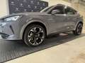 CUPRA Formentor 2.0 TSI 4Drive DSG Grigio - thumbnail 8