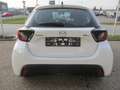 Mazda 2 Mazda2 Hybrid Prime Line Weiß - thumbnail 7